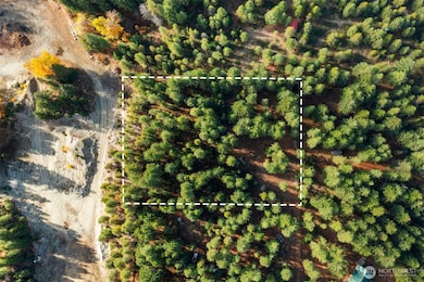 0 S Shugart Flats Rd, Leavenworth, WA 98826 - photo 2