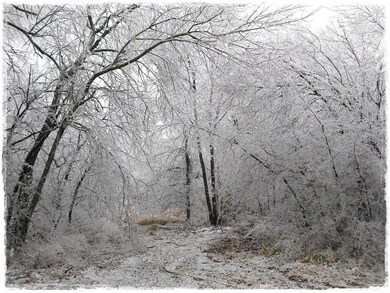 5600 N Fm 51, Weatherford, TX 76085 - photo 4