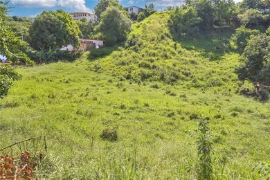 0 Carr 414 Camino Mortero, Rincon, PR 00677 - photo 5