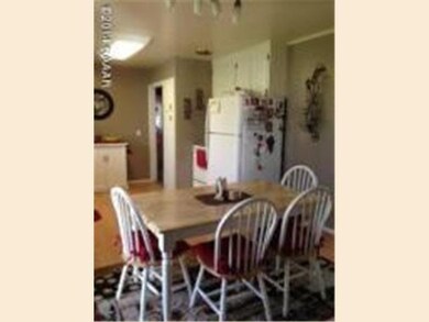 313 4th Ave NE, Glenwood, MN 56334 - photo 6