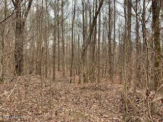 Hardwood Trees