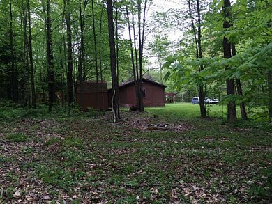 Exterior Back. View from campfire behind cabin.  G