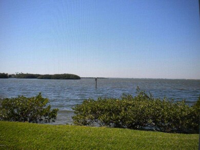 Direct River View from the unit