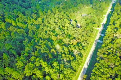 11817 White Oak Pass, Conroe, TX 77385 - photo 5