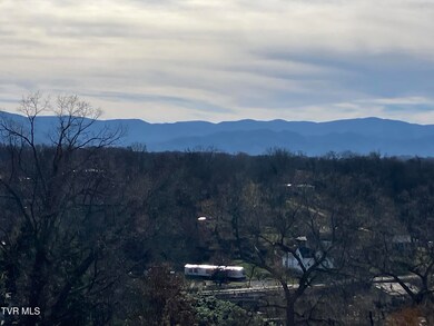 Tbd Methodist Ridge Rd, Telford, TN 37690 - photo 4