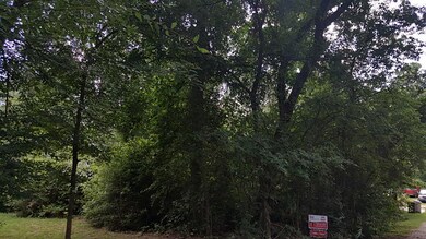 0 Cedar Ct, Huntsville, TX 77340 - photo 3