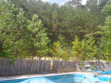 Pool and back yard