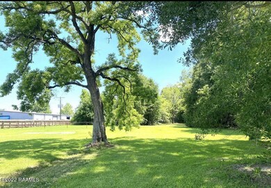 W Willow grounds
