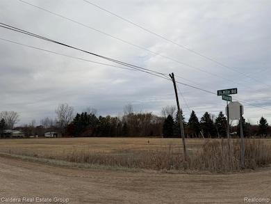 31 Mile Rd, New Haven, MI 48050 - photo 4