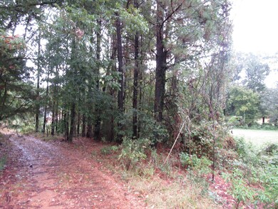 Lot 4 view 1