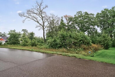 TBD 143rd St NW, Zimmerman, MN 55398 - photo 5