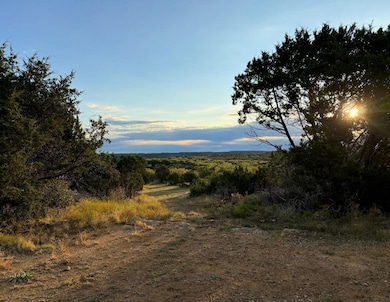 1473 Highway 16 S, Strawn, TX 76475 - photo 2