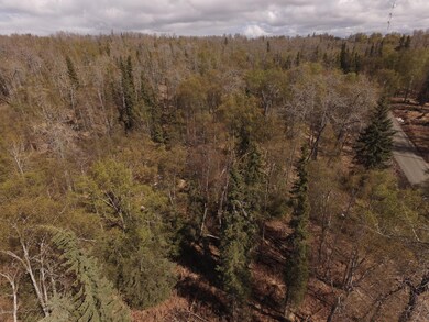 DJI_0032