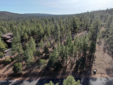 DJI_0864