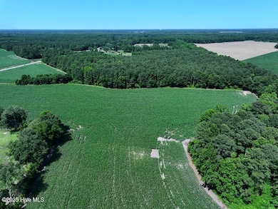 DJI_20250604162826_0542_D