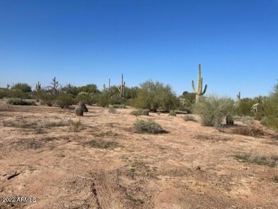 Cactus forest lot 2