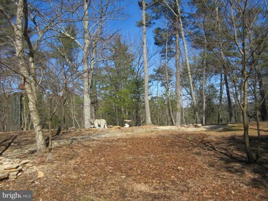 92 Braggs Cave Rd, Basye, VA 22810 - photo 6