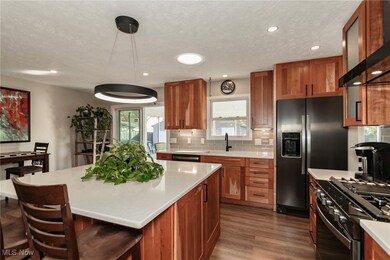 911 E 346th St, Eastlake, OH 44095 - photo 4