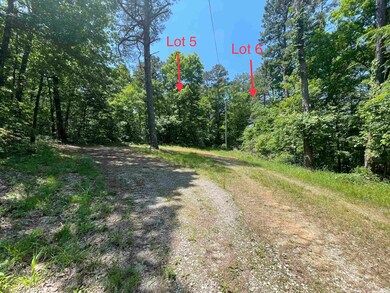 006 Island View Dr, Heber Springs, AR 72543 - photo 2