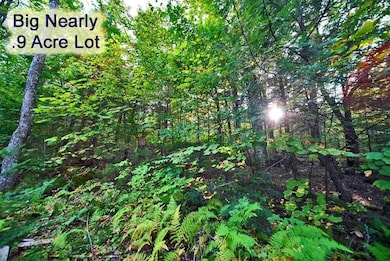 lot-388-boulder-rd-danforth