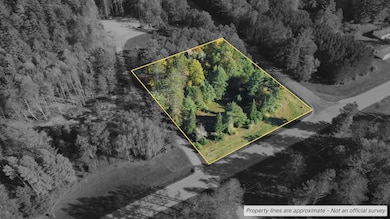 V/L 2.1AC N Barlow Rd, Lincoln, MI 48742 - photo 3