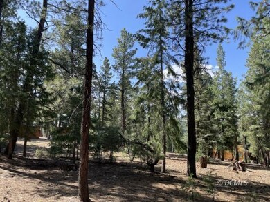 Majestic tall pine