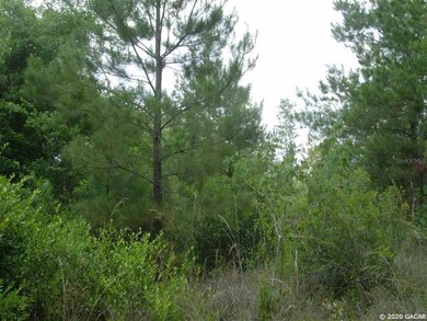 0 SE Family Rd, Lulu, FL 32061 - photo 3