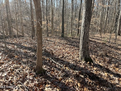 2311 Pocahontas Cove, Hernando, MS 38632 - photo 2