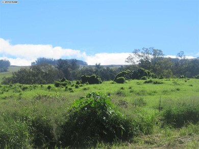 0 Lower Kimo Dr unit 26-A 380082, Kula, HI 96790 - photo 3