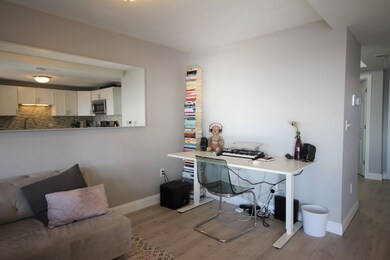 269 Lexington St unit 3, Boston, MA 02128 - photo 4