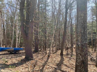 00 Southerlee Shores Rd, Moultonborough, NH 03254 - photo 2