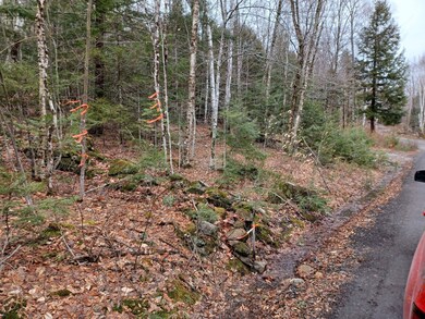 9 Old Country Rd, Warren, NH 03279 - photo 2