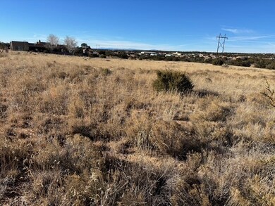 125 Bishop Lamy Rd, Lamy, NM 87540 - photo 4