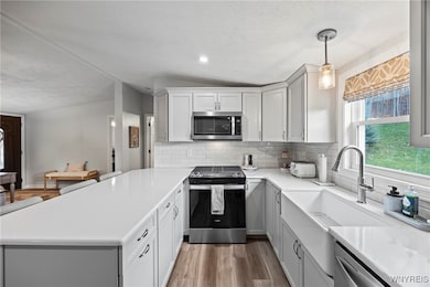 1023A Wish Cir, East Aurora, NY 14052 - photo 7