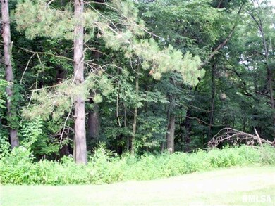 3700 28th St, Rock Island, IL 61201 - photo 4