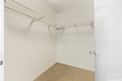 primary walk-in closet