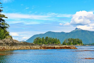 Island beach/view
