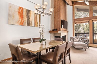 610 S West End St unit D-303, Aspen, CO 81611 - photo 5