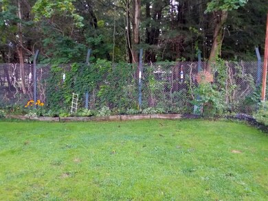 Backyard 2