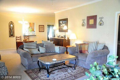 7007 Summit Ln, Fredericksburg, VA 22407 - photo 4