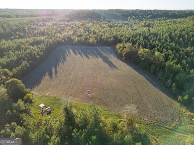 0 Fall Line High Fence unit 25641535, Ellaville, GA 31806 - photo 5