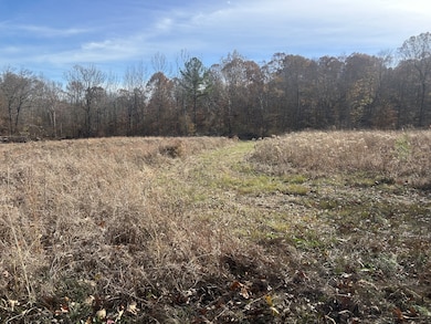 0 Sulphur Creek Rd unit RTC3044976, Big Sandy, TN 38221 - photo 3