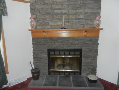 Wood burning fireplace