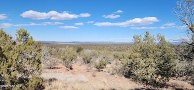 Lot 50 Scorpion, Ash Fork, AZ 86320 - photo 6