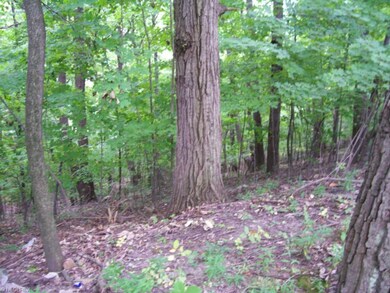 15750 Terrace Rd, Cleveland, OH 44112 - photo 5