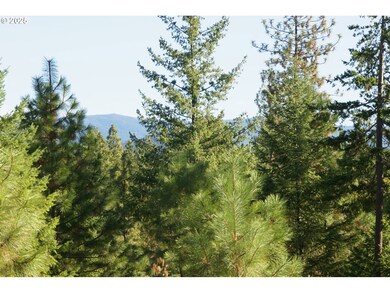 8 Ginger Way, Goldendale, WA 98620 - photo 6