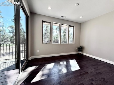 3145 Promise Point, Colorado Springs, CO 80921 - photo 6