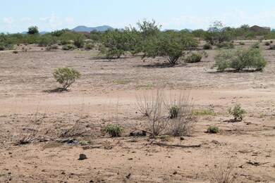 LAND PIC