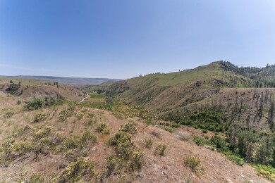 2830 Antoine Creek (Lot B) Rd, Chelan, WA 98816 - photo 6