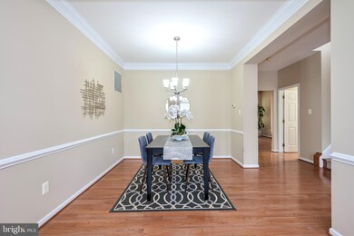 42906 Overly Square, Chantilly, VA 20152 - photo 7